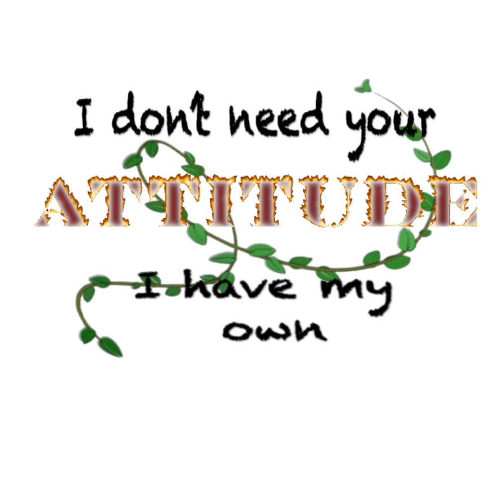 I don't need your Attitude I have my own (RED)