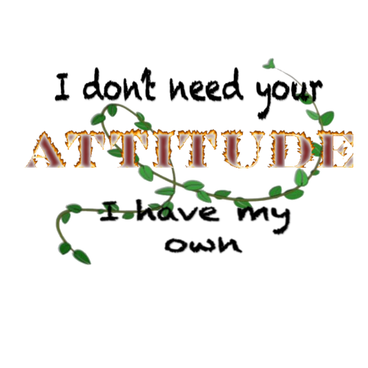 I don't need your Attitude I have my own (RED)